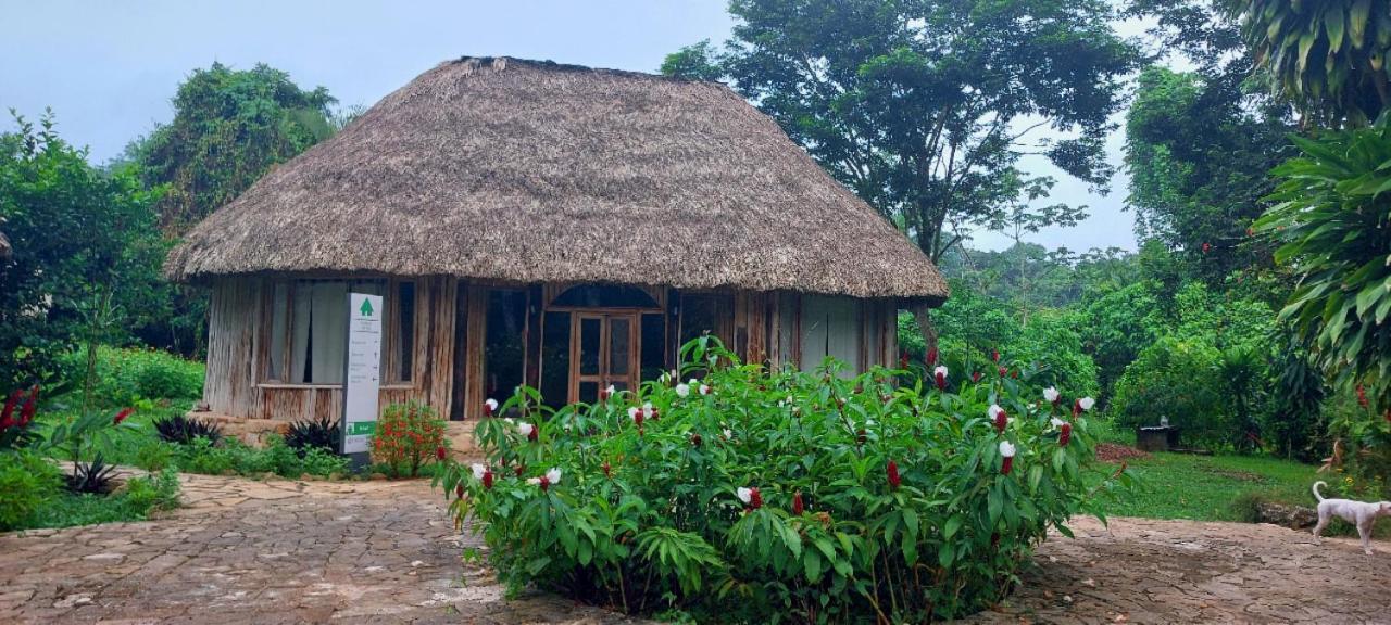 Eco Hotel Sak Nok Lacanja Exterior photo